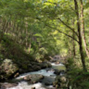 Meet your Posher, Ansley